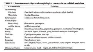 Mechanisms of Human Pathogen Infection and Bacterial Taxonomy Explained ...