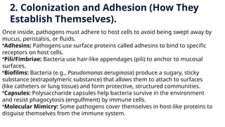 Pathogen Colonization Mechanisms of Human Pathogen Infection and Bacterial Taxonomy Explained ...