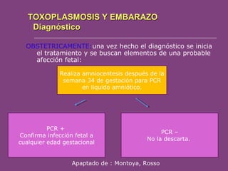 TOXOPLASMOSIS Y EMBARAZO
Diagnóstico
OBSTETRICAMENTE:una vez hecho el diagnóstico se inicia
el tratamiento y se buscan elementos de una probable
afección fetal:
Realiza amniocentesis después de la
semana 34 de gestación para PCR
en liquido amniótico.

PCR +
Confirma infección fetal a
cualquier edad gestacional

PCR –
No la descarta.

Apaptado de : Montoya, Rosso

 
