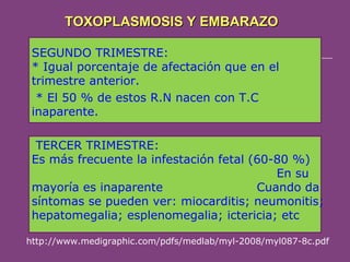 TOXOPLASMOSIS Y EMBARAZO
SEGUNDO TRIMESTRE:
* Igual porcentaje de afectación que en el
trimestre anterior.
* El 50 % de estos R.N nacen con T.C
inaparente.
TERCER TRIMESTRE:
Es más frecuente la infestación fetal (60-80 %)
En su
mayoría es inaparente
Cuando da
síntomas se pueden ver: miocarditis; neumonitis;
hepatomegalia; esplenomegalia; ictericia; etc
http://www.medigraphic.com/pdfs/medlab/myl-2008/myl087-8c.pdf

 