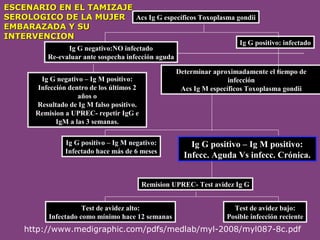 ESCENARIO EN EL TAMIZAJE
SEROLOGICO DE LA MUJER Acs Ig G específicos Toxoplasma gondii
EMBARAZADA Y SU
INTERVENCION
Ig G negativo:NO infectado
Re-evaluar ante sospecha infección aguda

Ig G positivo: infectado

Determinar aproximadamente el tiempo de
infección
Acs Ig M específicos Toxoplasma gondii

Ig G negativo – Ig M positivo:
Infección dentro de los últimos 2
años o
Resultado de Ig M falso positivo.
Remision a UPREC- repetir IgG e
IgM a las 3 semanas.
Ig G positivo – Ig M negativo:
Infectado hace más de 6 meses

Ig G positivo – Ig M positivo:
Infecc. Aguda Vs infecc. Crónica.

Remision UPREC- Test avidez Ig G
Test de avidez alto:
Infectado como mínimo hace 12 semanas

Test de avidez bajo:
Posible infección reciente

http://www.medigraphic.com/pdfs/medlab/myl-2008/myl087-8c.pdf

 