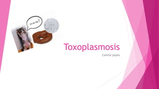 Toxoplasmosis
Camila yepes
 