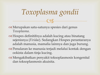 Toxoplasma gondii

 Merupakan satu-satunya spesies dari genus
Toxoplasma.
 Hospes definitifnya adalah kucing atau binatang
sejenisnya (Firidae). Sedangkan Hospes perantaranya
adalah manusia, mamalia lainnya dan juga burung.
 Penularan ke manusia terjadi melalui kontak dengan
ookista dalam tinja kucing.
 Mengakibatkan penyakit toksoplasmosis kongenital
dan toksoplasmosis akuisita.

 