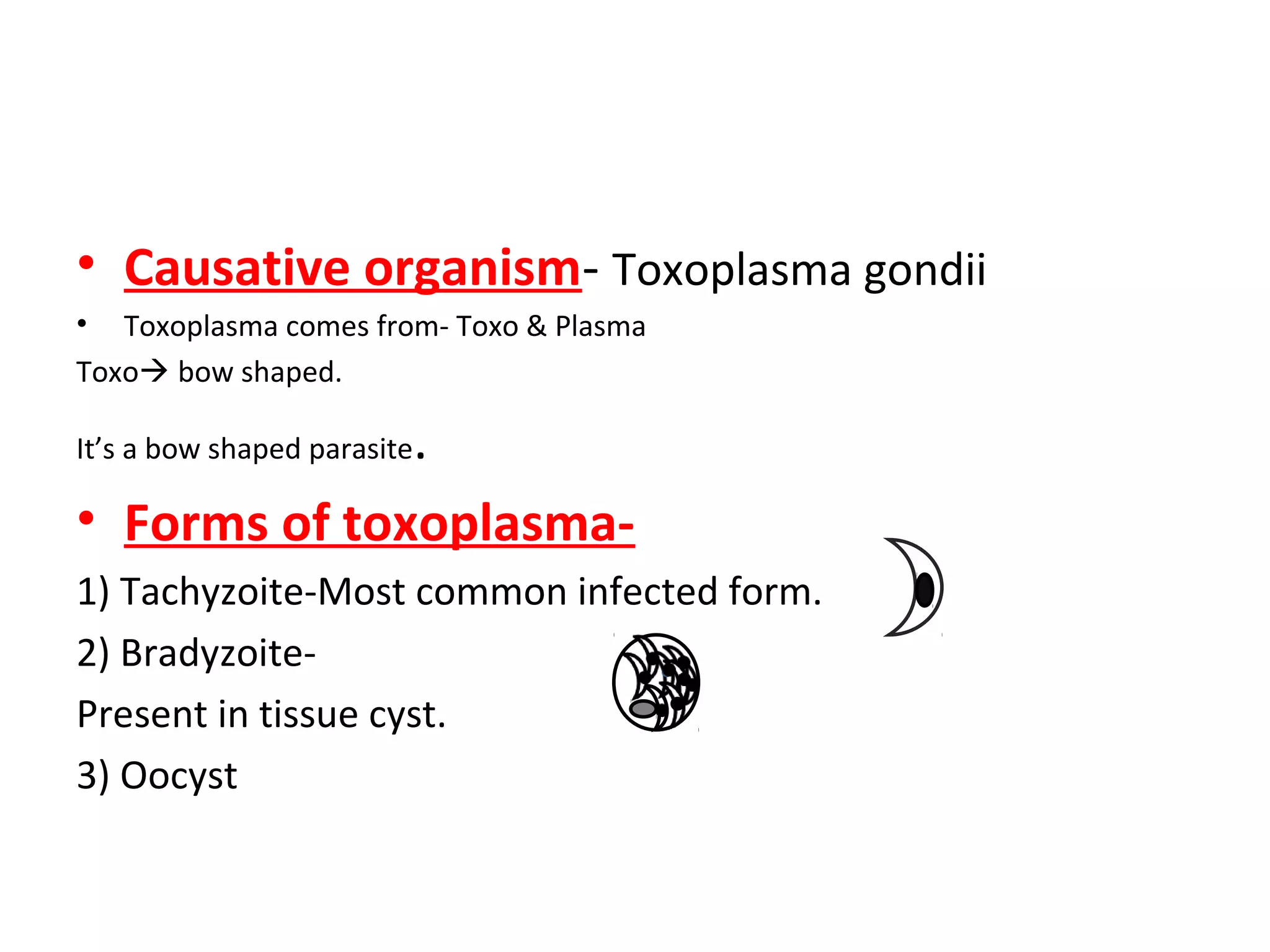 toxoplasma-ppt