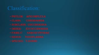 Classification:
• Phylum: Apicomplexa
• Class:
Conoidasida
• Subclass: Coccidiasina
• Order:
Eucoccidiorida
• Family:
Sarcocystidae
• Genus: Toxoplasma
• Species: T.gondii

 