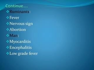 Ruminants:
Fever
Nervous sign
Abortion
Man:
Myocarditis
Encephalitis
Low grade fever
 