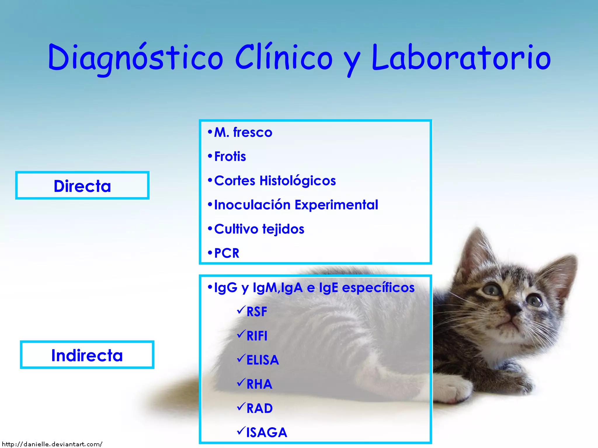 Diagnóstico Clínico y Laboratorio Directa Indirecta M. fresco Frotis Cortes Histológicos Inoculación Experimental Cultivo tejidos PCR IgG y IgM,IgA e IgE específicos RSF RIFI ELISA RHA RAD ISAGA 