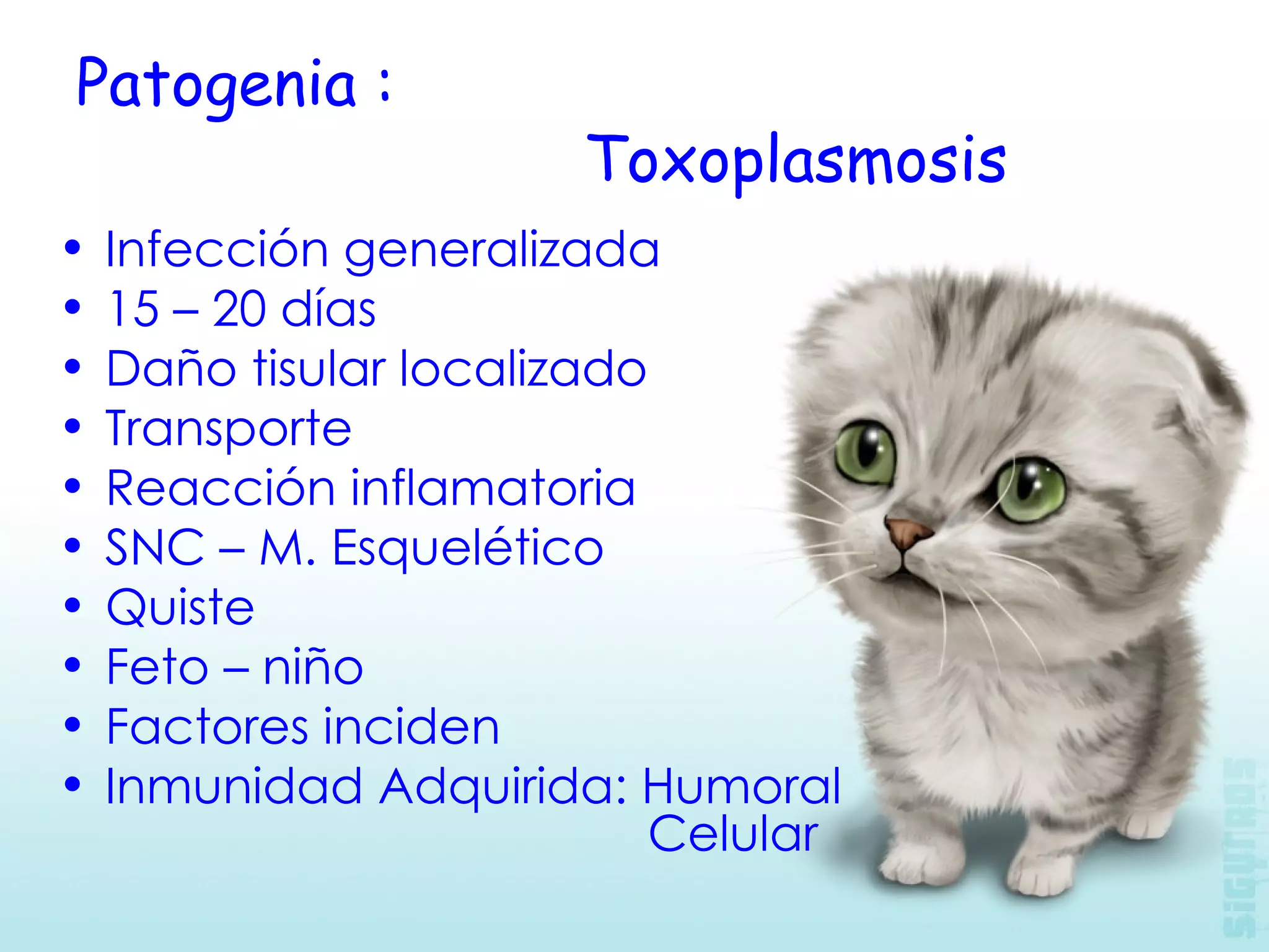 Patogenia :  Toxoplasmosis Infección generalizada 15 – 20 días Daño tisular localizado Transporte  Reacción inflamatoria SNC – M. Esquelético Quiste Feto – niño Factores inciden Inmunidad Adquirida: Humoral    Celular 