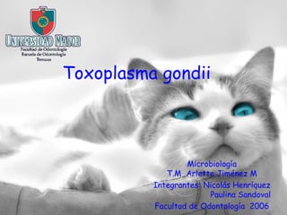 Toxoplasma gondii Microbiología T.M  Arlette Jiménez M Integrantes: Nicolás Henríquez   Paulina Sandoval Facultad de Odontología  2006 