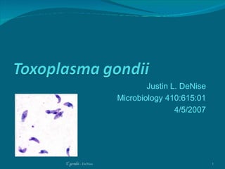 Justin L. DeNise Microbiology 410:615:01 4/5/2007 T. gondii  - DeNise 