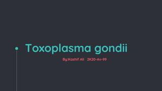 Toxoplasma gondii
By:Kashif Ali 2K20-Av-99
 