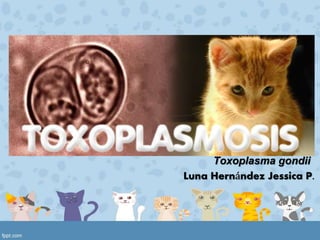 Toxoplasma gondii
Luna Hernández Jessica P.
 