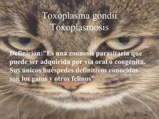 Definición:”Es una zoonosis parasitaria que
puede ser adquirida por vía oral o congénita.
Sus únicos huéspedes definitivos conocidos
son los gatos y otros felinos”
Toxoplasma gondii
Toxoplasmosis
 