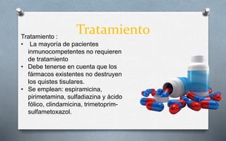 TratamientoTratamiento :
• La mayoría de pacientes
inmunocompetentes no requieren
de tratamiento
• Debe tenerse en cuenta que los
fármacos existentes no destruyen
los quistes tisulares.
• Se emplean: espiramicina,
pirimetamina, sulfadiazina y ácido
fólico, clindamicina, trimetoprim-
sulfametoxazol.
 
