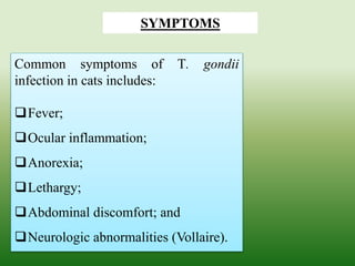 Common symptoms of T. gondii
infection in cats includes:
Fever;
Ocular inflammation;
Anorexia;
Lethargy;
Abdominal discomfort; and
Neurologic abnormalities (Vollaire).
SYMPTOMS
 
