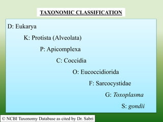 TAXONOMIC CLASSIFICATION
D: Eukarya
K: Protista (Alveolata)
P: Apicomplexa
C: Coccidia
O: Eucoccidiorida
F: Sarcocystidae
G: Toxoplasma
S: gondii
© NCBI Taxonomy Database as cited by Dr. Sabri
 