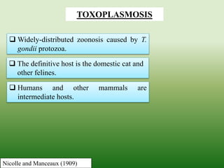  Widely-distributed zoonosis caused by T.
gondii protozoa.
TOXOPLASMOSIS
Nicolle and Manceaux (1909)
 The definitive host is the domestic cat and
other felines.
 Humans and other mammals are
intermediate hosts.
 