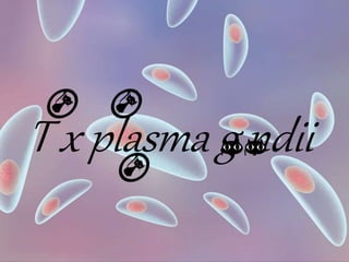 T x plasma g ndii
 