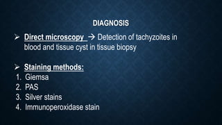 DIAGNOSIS
 Direct microscopy  Detection of tachyzoites in
blood and tissue cyst in tissue biopsy
 Staining methods:
1. Giemsa
2. PAS
3. Silver stains
4. Immunoperoxidase stain
 
