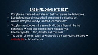 SABIN-FELDMAN DYE TEST:
• Complement mediated neutralization test that requires live tachyzoites.
• Live tachyzoites are incubated with complement and test serum.
• Alkaline methylene blue dye is added and reincubated.
• Toxoplasma antibodies in the serum bind to the antigens in the live
tachyzoites  killed due to complement mediated lysis
• Killed tachyzoites  thin, distorted and colourless
• The dilution of the test serum at which 50% of the tachyzoites are killed 
antibody titer of the test serum
 