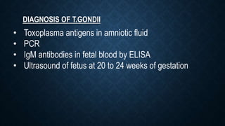 DIAGNOSIS OF T.GONDII
• Toxoplasma antigens in amniotic fluid
• PCR
• IgM antibodies in fetal blood by ELISA
• Ultrasound of fetus at 20 to 24 weeks of gestation
 