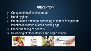 PREVENTION
 Consumption of cooked meat
 Hand hygiene
 Prenatal and antenatal screening to detect Toxoplasma
infection in women of child bearing age
 Proper handling of pet cats
 Screening of blood donors and organ donors
 