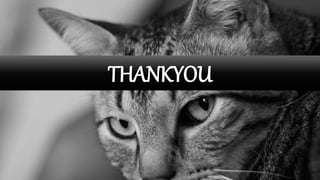 THANKYOU
 