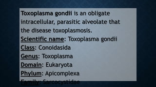 Toxoplasma gondii is an obligate
intracellular, parasitic alveolate that
the disease toxoplasmosis.
Scientific name: Toxoplasma gondii
Class: Conoidasida
Genus: Toxoplasma
Domain: Eukaryota
Phylum: Apicomplexa
Family: Sarcocystidae
 