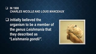  IN 1908
CHARLES NICOLLE AND LOUIS MANCEAUX
 initially believed the
organism to be a member of
the genus Leishmania that
they described as
“Leishmania gondii”.
 