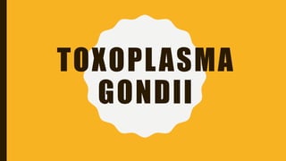 TOXOPLASMA
GONDII
 