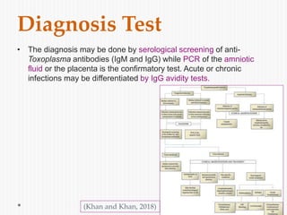 Diagnosis Test
• The diagnosis may be done by serological screening of anti-
Toxoplasma antibodies (IgM and IgG) while PCR of the amniotic
fluid or the placenta is the confirmatory test. Acute or chronic
infections may be differentiated by IgG avidity tests.
(Khan and Khan, 2018)
 
