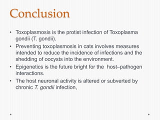 Conclusion
• Toxoplasmosis is the protist infection of Toxoplasma
gondii (T. gondii).
• Preventing toxoplasmosis in cats involves measures
intended to reduce the incidence of infections and the
shedding of oocysts into the environment.
• Epigenetics is the future bright for the host–pathogen
interactions.
• The host neuronal activity is altered or subverted by
chronic T. gondii infection,
 