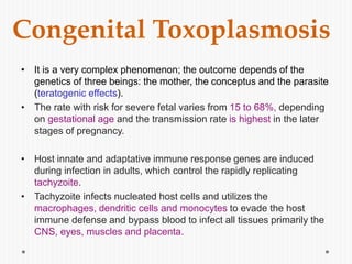 Congenital Toxoplasmosis
• It is a very complex phenomenon; the outcome depends of the
genetics of three beings: the mother, the conceptus and the parasite
(teratogenic effects).
• The rate with risk for severe fetal varies from 15 to 68%, depending
on gestational age and the transmission rate is highest in the later
stages of pregnancy.
• Host innate and adaptative immune response genes are induced
during infection in adults, which control the rapidly replicating
tachyzoite.
• Tachyzoite infects nucleated host cells and utilizes the
macrophages, dendritic cells and monocytes to evade the host
immune defense and bypass blood to infect all tissues primarily the
CNS, eyes, muscles and placenta.
 