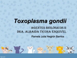 Toxoplasma gondii
         Agentes Biológicos II
 Dra. Albaida Ticona Esquivel
         Pamela Julia Negrón Barrios
 