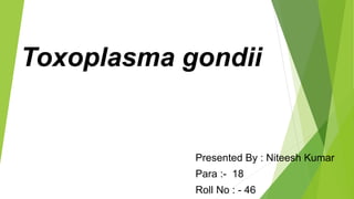 Toxoplasma gondii
Presented By : Niteesh Kumar
Para :- 18
Roll No : - 46
 