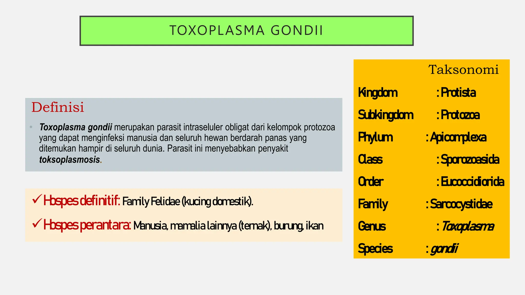 TOXOPLASMA GONDII
Definisi
• Toxoplasma gondii merupakan parasit intraseluler obligat dari kelompok protozoa
yang dapat menginfeksi manusia dan seluruh hewan berdarah panas yang
ditemukan hampir di seluruh dunia. Parasit ini menyebabkan penyakit
toksoplasmosis.
Hospes definitif:Family Felidae (kucing domestik).
Hospes perantara: Manusia,mamalia lainnya (ternak), burung,ikan
Taksonomi
Kingdom :Protista
Subkingdom :Protozoa
Phylum : Apicomplexa
Class :Sporozoasida
Order :Eucoccidiorida
Family : Sarcocystidae
Genus :Toxoplasma
Species : gondii
 