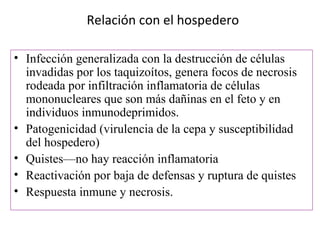 Relación con el hospedero

• Infección generalizada con la destrucción de células
  invadidas por los taquizoítos, genera focos de necrosis
  rodeada por infiltración inflamatoria de células
  mononucleares que son más dañinas en el feto y en
  individuos inmunodeprimidos.
• Patogenicidad (virulencia de la cepa y susceptibilidad
  del hospedero)
• Quistes—no hay reacción inflamatoria
• Reactivación por baja de defensas y ruptura de quistes
• Respuesta inmune y necrosis.
 