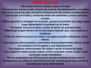 PROFILAXIS
* No coma carnes crudas o poco cocidas.
* Al manipular carne cruda, lávese las manos inmediatamente con jabón.
Nunca se toque los ojos, la nariz o la boca con las manos contaminadas.
* Lave todas las frutas y verduras antes de comerlas y evite comerlas
crudas.
*Utilice guantes al trabajar en el jardín, porque es posible que algún gato
haya depositado el parásito en el suelo
* No tomar huevos crudos y evitar la leche no pasteurizada.
* Mantenga al gato dentro de la casa para impedir que cace pájaros o
roedores.
* Evite los areneros para los niños. Los gatos pueden utilizarlos como
literas.
* Las mujeres embarazadas y pacientes inmunodeprimidos deben evitar
el contacto con los gatos y sus deposiciones.
*Las mujeres embarazadas No deben vaciar la litera del gato.
*Las mujeres embarazadas deben evitar consumir carne cruda o mal
cocinada como embutidos.
*En los pacientes con VIH que han tenido contacto previo con el
toxoplasma, se indica la administración de cotrimoxazol para evitar la
reactivación de la enfermedad.

 