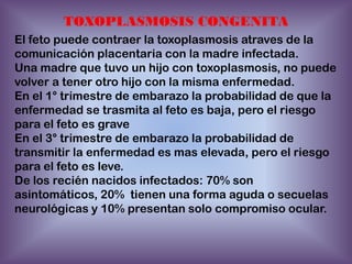 TOXOPLASMOSIS CONGENITA
El feto puede contraer la toxoplasmosis atraves de la
comunicación placentaria con la madre infectada.
Una madre que tuvo un hijo con toxoplasmosis, no puede
volver a tener otro hijo con la misma enfermedad.
En el 1° trimestre de embarazo la probabilidad de que la
enfermedad se trasmita al feto es baja, pero el riesgo
para el feto es grave
En el 3° trimestre de embarazo la probabilidad de
transmitir la enfermedad es mas elevada, pero el riesgo
para el feto es leve.
De los recién nacidos infectados: 70% son
asintomáticos, 20% tienen una forma aguda o secuelas
neurológicas y 10% presentan solo compromiso ocular.

 