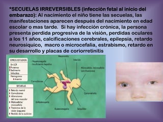 *SECUELAS IRREVERSIBLES (infección fetal al inicio del
embarazo): Al nacimiento el niño tiene las secuelas, las
manifestaciones aparecen después del nacimiento en edad
escolar o mas tarde. Si hay infección crónica, la persona
presenta perdida progresiva de la visión, perdidas oculares
a los 11 años, calcificaciones cerebrales, epilepsia, retardo
neurosiquico, macro o microcefalia, estrabismo, retardo en
su desarrollo y placas de coriorretinitis

 