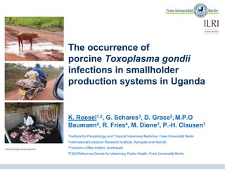 The occurrence of
porcine Toxoplasma gondii
infections in smallholder
production systems in Uganda
K. Roesel1,2, G. Schares3, D. Grace2, M.P.O
Baumann4, R. Fries4, M. Dione2, P.-H. Clausen1
1Institute for Parasitology and Tropical Veterinary Medicine, Freie Universität Berlin
2International Livestock Research Institute, Kampala and Nairobi
3Friedrich-Löffler-Institut, Greifswald
4FAO Reference Centre for Veterinary Public Health, Freie Universität Berlin
© Kristina Roesel, Michel Dione/ILRI
 