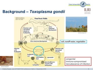 The occurrence of porcine Toxoplasma gondii infections in smallholder production systems in Uganda