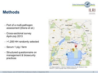 The occurrence of porcine Toxoplasma gondii infections in smallholder production systems in Uganda