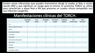 Toxoplasma rubeola | PPTX