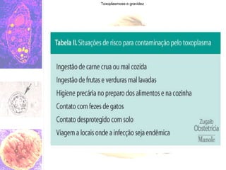 Toxoplasmose e gravidez 