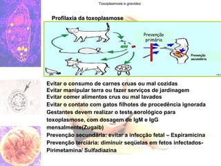 Toxoplasmose e gravidez Profilaxia da toxoplasmose Evitar o consumo de carnes cruas ou mal cozidas Evitar manipular terra ou fazer serviços de jardinagem Evitar comer alimentos crus ou mal lavados Evitar o contato com gatos filhotes de procedência ignorada Gestantes devem realizar o teste sorológico para toxoplasmose, com dosagem de IgM e IgG mensalmente(Zugaib) Prevenção secundária: evitar a infecção fetal – Espiramicina Prevenção terciária: diminuir seqüelas em fetos infectados- Pirimetamina/ Sulfadiazina Prevenção primária Prevenção secundária 