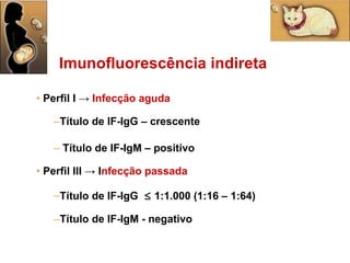 Perfil I ->  Infecção aguda Título de IF-IgG – crescente  Título de IF-IgM – positivo Perfil III -> I nfecção passada Título de IF-IgG    1:1.000 (1:16 – 1:64) Título de IF-IgM - negativo Imunofluorescência indireta 