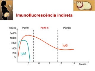 Imunofluorescência indireta 16000 64 256 64000 4000 1000 9 3 12 6 15 Meses Títulos Perfil I Perfil II IgG IgM Perfil III 