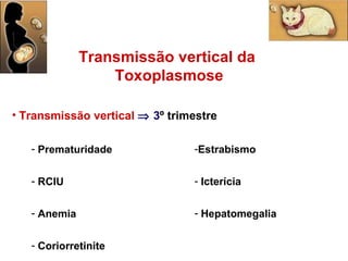 Transmissão vertical     3 º trimestre Prematuridade RCIU Anemia Coriorretinite Transmissão vertical da  Toxoplasmose Estrabismo Icterícia  Hepatomegalia 