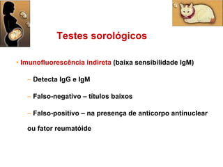 Testes sorológicos Imunofluorescência indireta  (baixa sensibilidade IgM) Detecta IgG e IgM Falso-negativo – títulos baixos Falso-positivo – na presença de anticorpo antinuclear ou fator reumatóide 